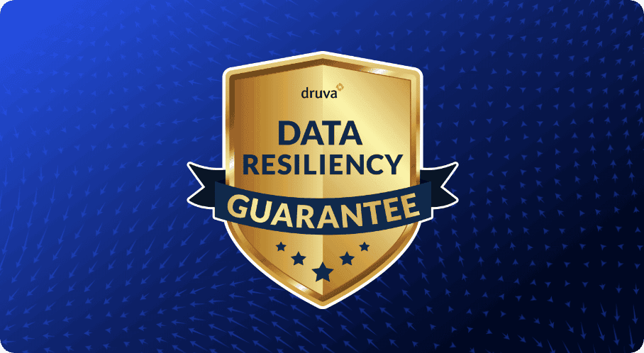 data resiliency guarantee