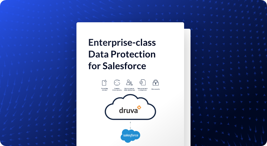 Get the Details on Druva for SFDC