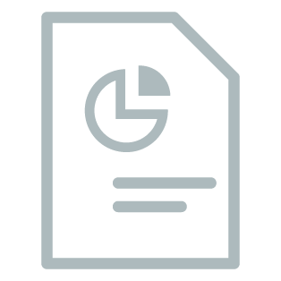 reporting icon