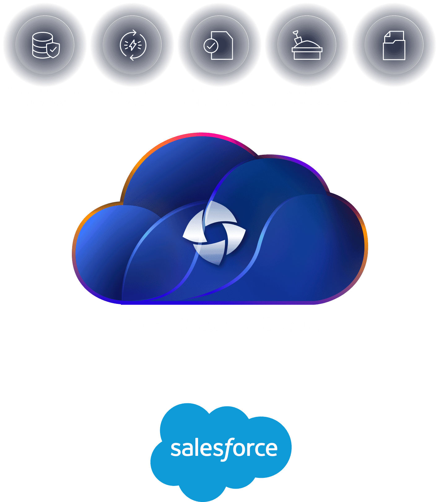 Salesforce data protection