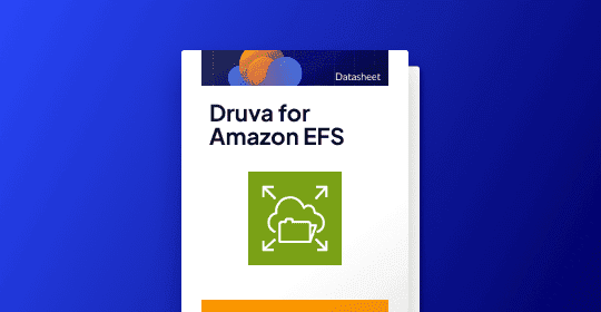 amazon efs datasheet thumbnail