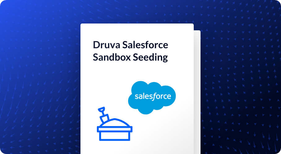 Automate Sandbox Seeding