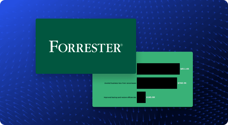 Discover How Customers Achieved 224% ROI with Druva in Forrester’s 2024 Total Economic Impact™ Report