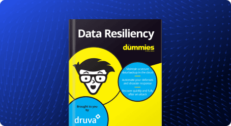 Data Resiliency For Dummies®, Druva Special Edition