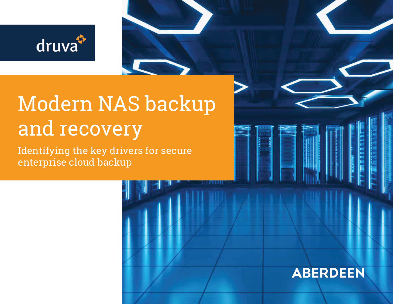 Modern NAS backup and recovery