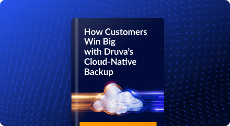 How Customers Win Big with Druva’s Cloud-Native Backup