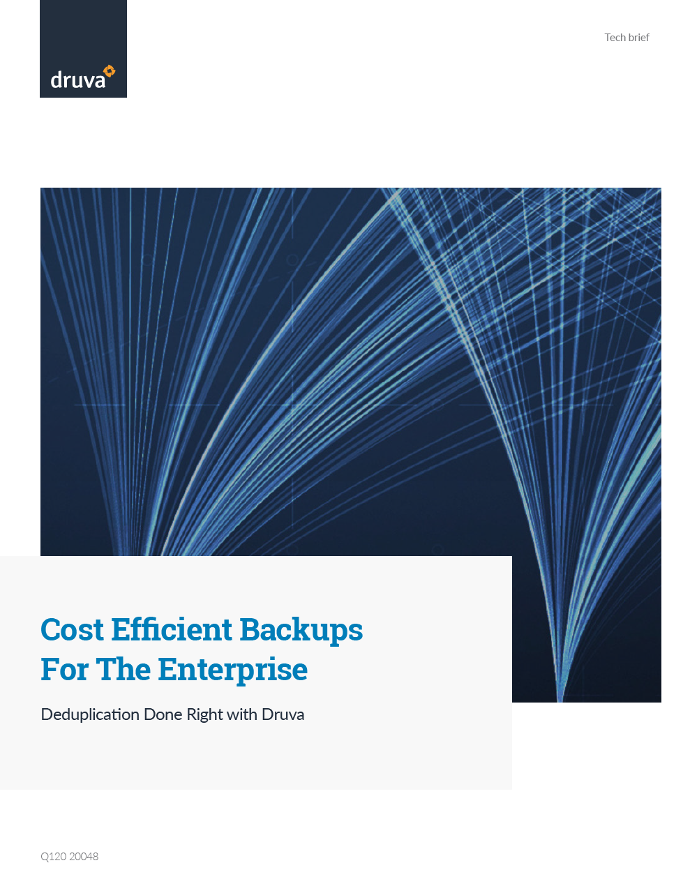 Cost efficient backups for the enterprise: Deduplication done right with Druva