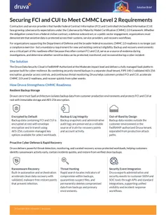 Securing FCI and CUI to Meet CMMC Level 2 Requirements