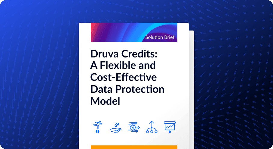 Druva Credits: A Flexible and Cost-Effective Data Protection Model