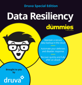 data-resiliency-for-dummies-ebook