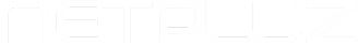 Netpluz Logo
