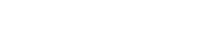 Carahsoft